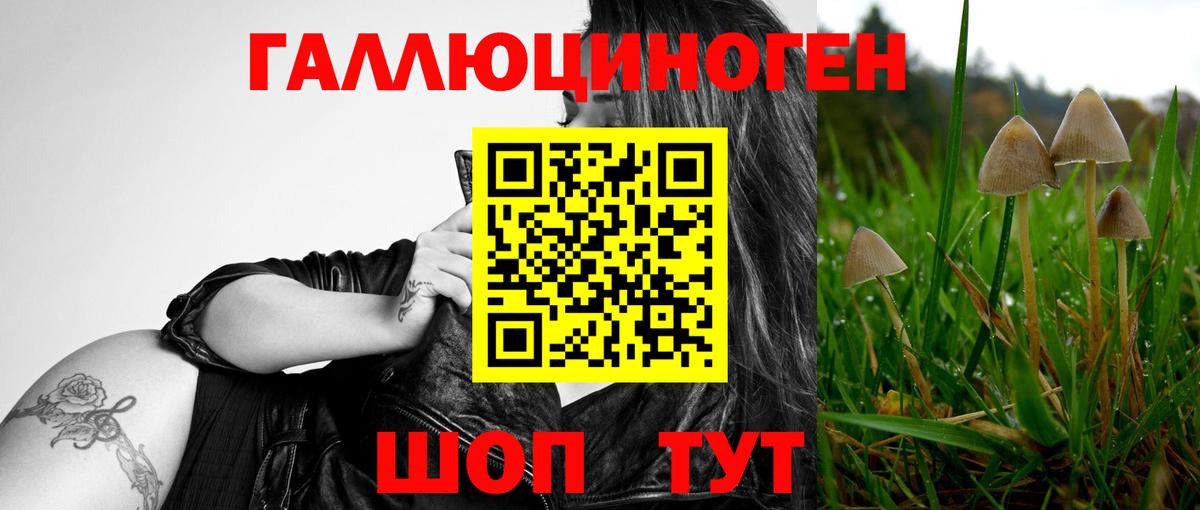 Сафоново  Псилоцибиновые грибы ЛСД  Вход с VPN 